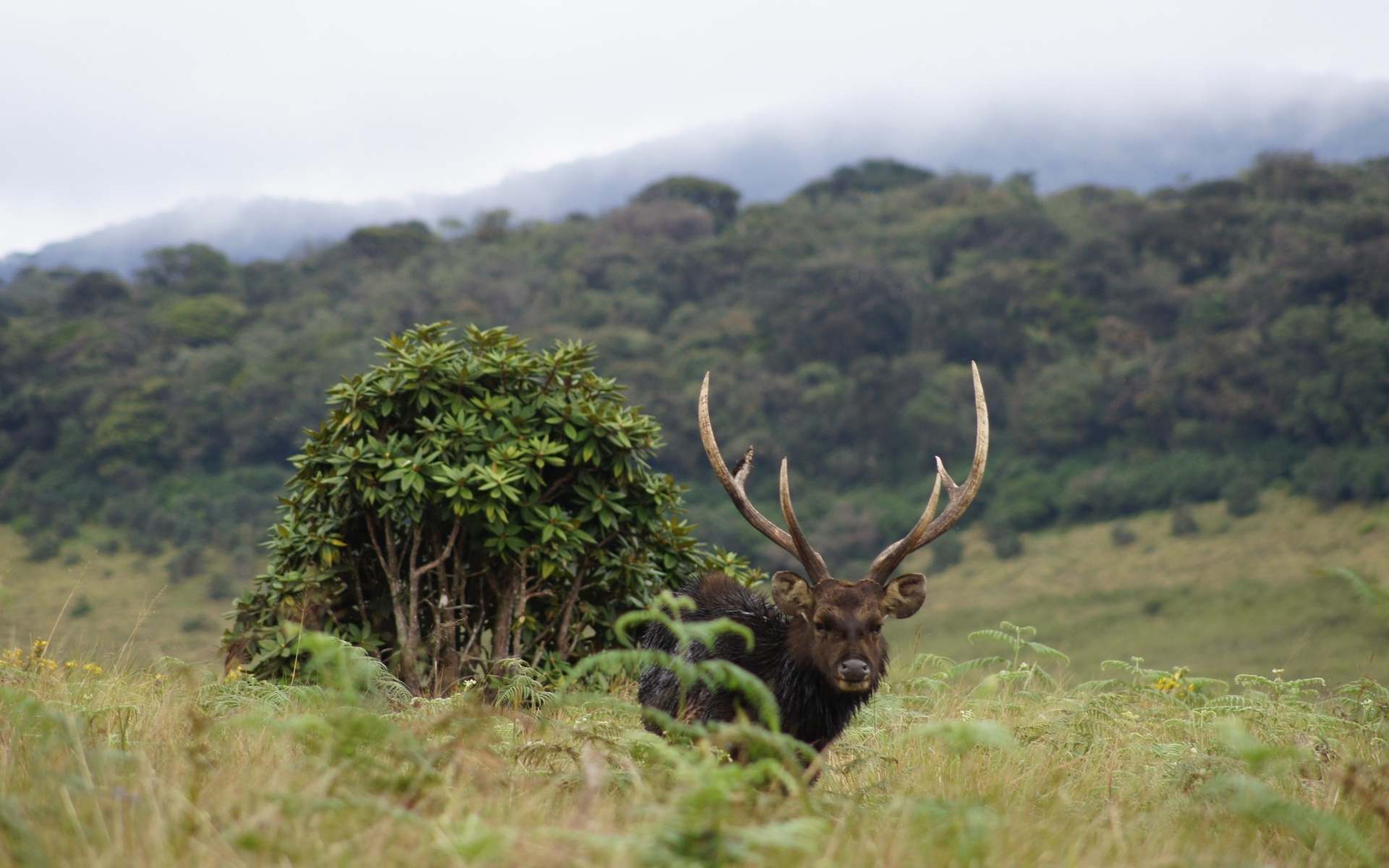 Horton Plains National Park
